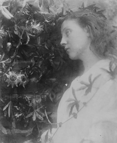 Illustration for the Poem 